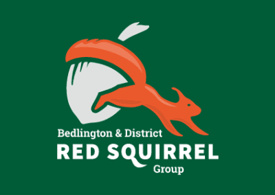 Bedlington & District Red Squirrel Group